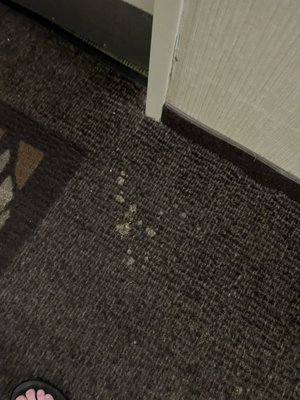 Holiday Inn Nashville-Vanderbilt (Dwtn) by IHG by null