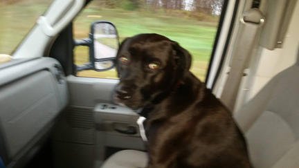 Slide of Tom's Plumbing Solutions