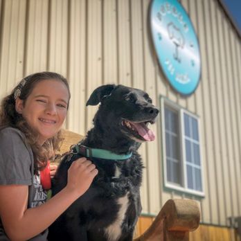 Double J Pet Ranch - Family run business. We treat your dog as if they were our own - Pet Sitting Near Me - Colorado Springs, Colorado Double J Pet Ranch - Family run business. We treat your dog as if they were our own - Pet Sitting Near Me - Colorado Springs, Colorado