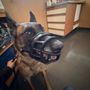 Photo of Pet Doctor
