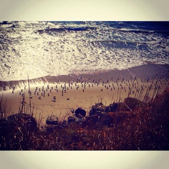 Andrew Molera State Park - The birds get the best view... - Parks Near Me - Big Sur, California