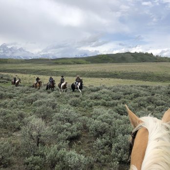 JH Outfitting Company - Horseback Riding Near Me JH Outfitting Company - Horseback Riding Near Me
