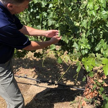 Silverado Vineyards - Wineries Near Me - Napa, California Silverado Vineyards - Wineries Near Me - Napa, California