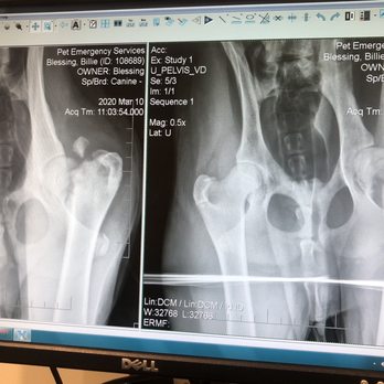 Peaceable Kingdom Animal Hospital 13 Photos Veterinarians 1735 W Main St Ephrata Pa Phone Number