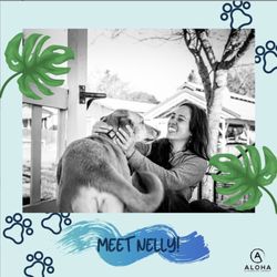 Aloha Integrative Therapy