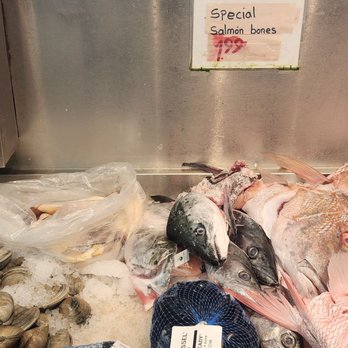Fish Market - a variety of seafood on display - Seafood Markets Near Me - The Bronx, New York Fish Market - a variety of seafood on display - Seafood Markets Near Me - The Bronx, New York