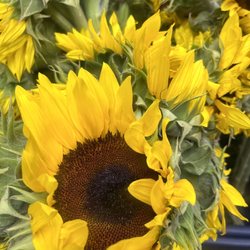 Oscar's Flower & Gift Shop