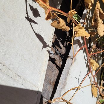 Rancho Mesa Properties - Walls coming apart. These walls are infested with Black & Brown widows, crickets, and other various creatures - Property Management Near Me - San Diego, California Rancho Mesa Properties - Walls coming apart. These walls are infested with Black & Brown widows, crickets, and other various creatures - Property Management Near Me - San Diego, California