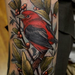 Star City Tattoos - I love doing bird tattoos. This Scarlett Tanager was a blast and is resting on a very close friend of mine. By Roger