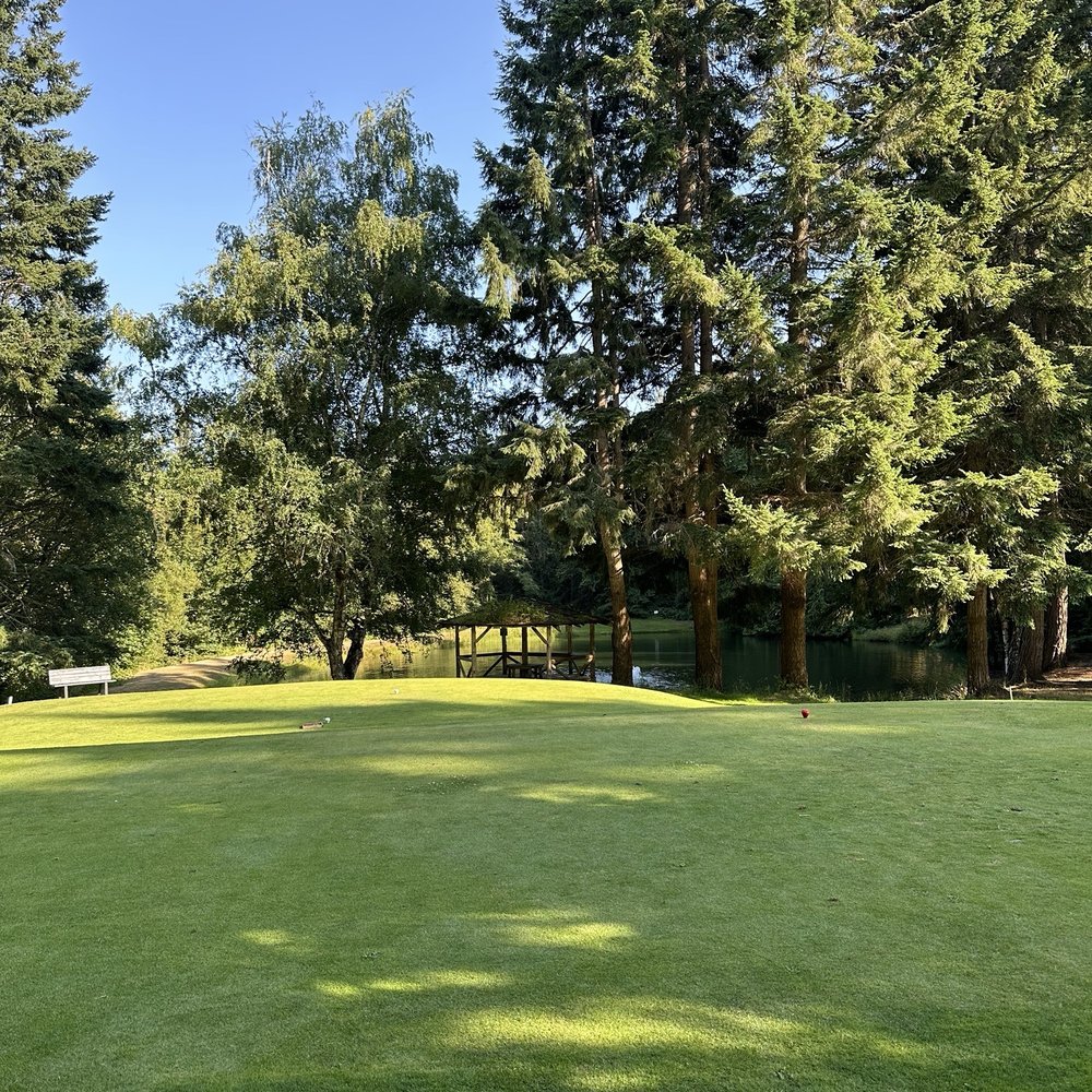 AWAY “The Mini” THE BEST 10 GOLF near BRINNON, WA 98320 - Updated 2025
