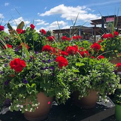 Knupper's Flower & Garden