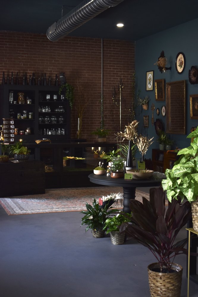 CUT AT AN ANGLE Updated July 2024 11 Photos 17 Cabarrus Ave W