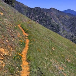 2012-4-27: Pine Ridge Trail