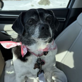 Santa's Doggie Workshop - Pet Groomers Near Me - Johnston, Rhode Island