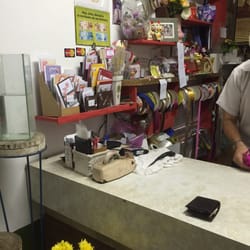 Miami Flores
