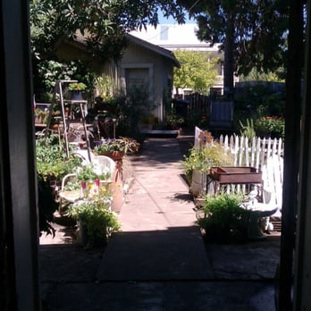 The Antique Gardener - back yard/patio area - Antiques Near Me - Sutter Creek, California The Antique Gardener - back yard/patio area - Antiques Near Me - Sutter Creek, California