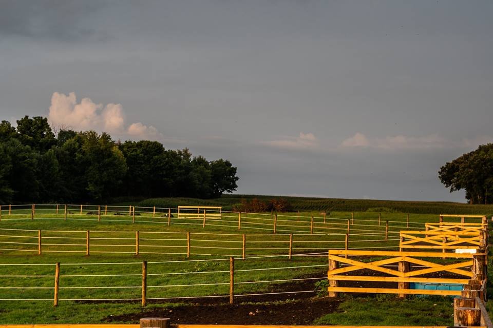 Dawson Pointe Stables - equestrian in Oregon, WI