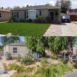 Photo above is what our lawn looks after, below is what it had looked before. Photo above is what our lawn looks after, below is what it had looked before.