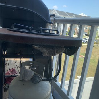 Destroy Pest Control - The wasp nest - Pest Control Near Me - Laurel, Maryland