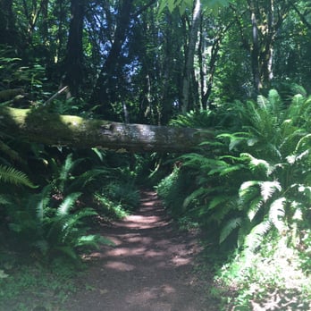 Anderson Landing Preserve - Parks Near Me - Silverdale, Washington Anderson Landing Preserve - Parks Near Me - Silverdale, Washington