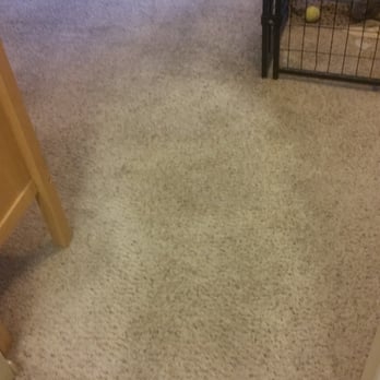 Steam 'N Clean - After!  Wow! - Carpet Cleaning Near Me - San  Diego, California
