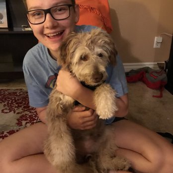 Cute Pets Grooming - Pet Groomers Near Me - San Marcos, California Cute Pets Grooming - Pet Groomers Near Me - San Marcos, California