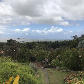 Ali'i Kula Lavender - Tours Near Me - Kula, Hawaii