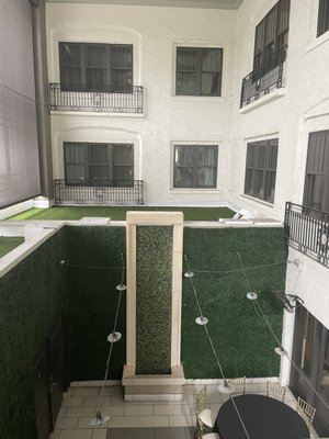 The Birchwood by null