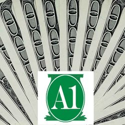 A1 Cash Now