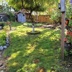 Seatown Landscaping - Backyard mowing & trimming
