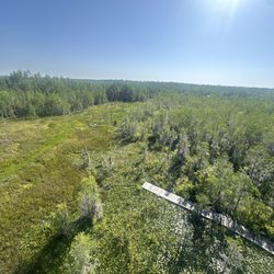 Grand Bay Wildlife Management Area