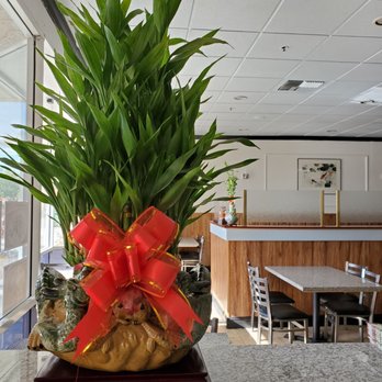 Tasty Gourmet - Cantonese Near Me - Davis, California Tasty Gourmet - Cantonese Near Me - Davis, California