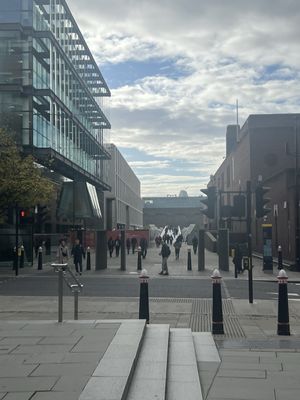 The Wren Coffee by null