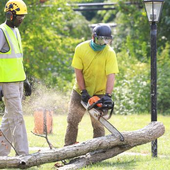 McCormick Tree Care - Tree Services Near Me McCormick Tree Care - Tree Services Near Me