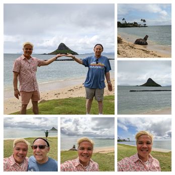 North Shore Beach Bus - Oahu Island Tour - Bus Tours Near Me - Honolulu, Hawaii North Shore Beach Bus - Oahu Island Tour - Bus Tours Near Me - Honolulu, Hawaii