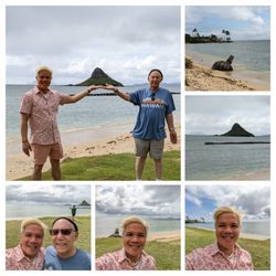 North Shore Beach Bus - Oahu Island Tour