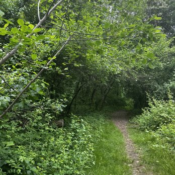 Pegan Cove Park - Trail - Hiking Near Me - Natick, Massachusetts Pegan Cove Park - Trail - Hiking Near Me - Natick, Massachusetts