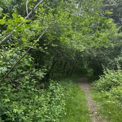 Pegan Cove Park - Trail