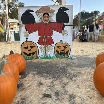 Pumpkin Station - My kid - Pumpkin Patches Near Me - San Diego, California Pumpkin Station - My kid - Pumpkin Patches Near Me - San Diego, California