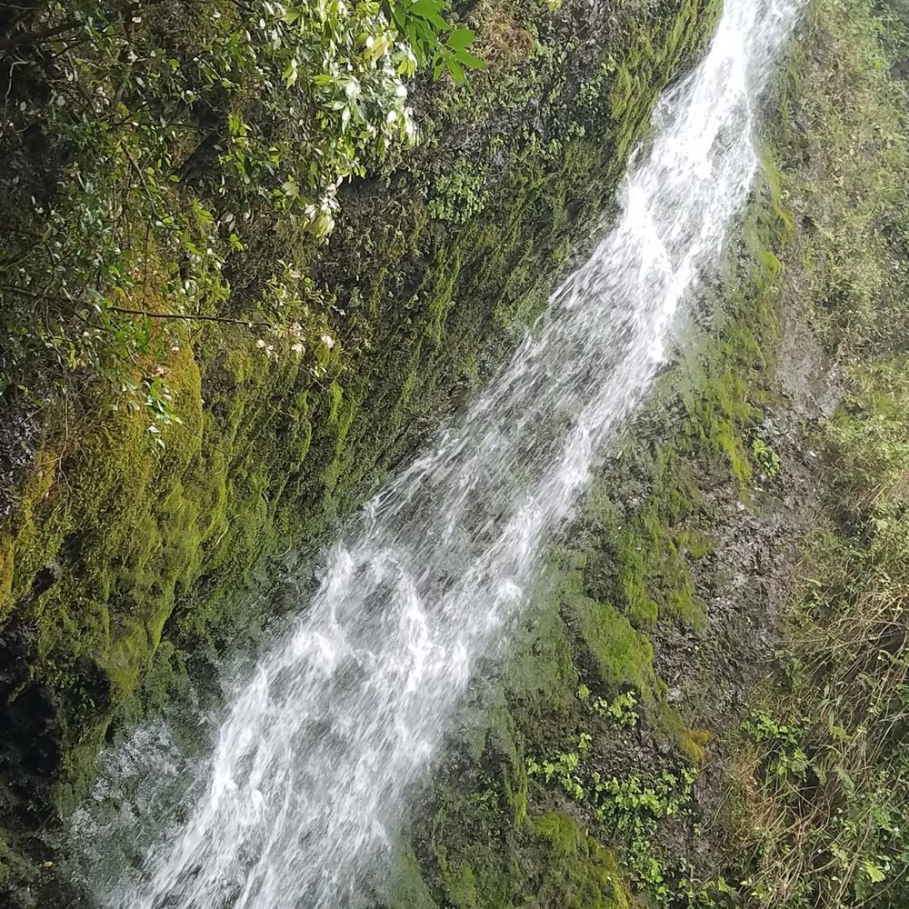 Lulumahu Falls - Love - Hiking Near Me - Honolulu, Hawaii