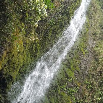 Lulumahu Falls - Love - Hiking Near Me - Honolulu, Hawaii Lulumahu Falls - Love - Hiking Near Me - Honolulu, Hawaii