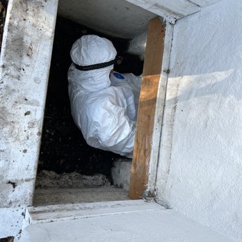 Attic & Rodents Clean Up - Crawlspace inspection - Pest Control Near Me Attic & Rodents Clean Up - Crawlspace inspection - Pest Control Near Me