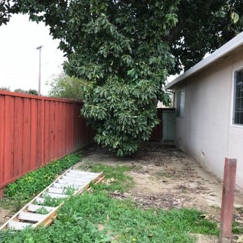 Anytime Tree Specialist - Tree Services Near Me Anytime Tree Specialist - Tree Services Near Me