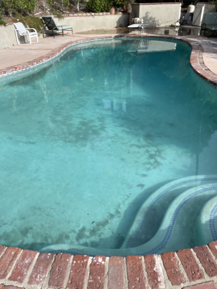 GARY’S POOL AND SPA CLEANING SERVICE Updated September 2024 30