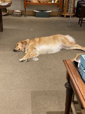 Na Mea Hawaii by null