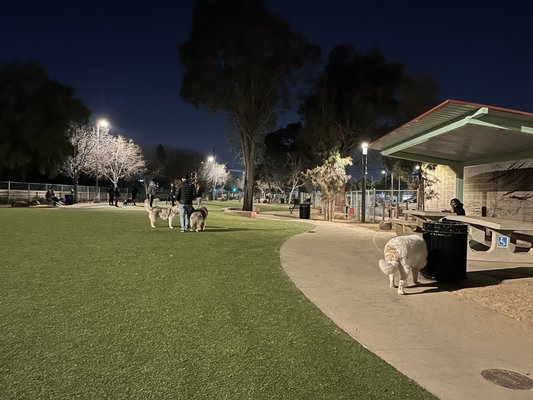Reed Street Dog Park by null