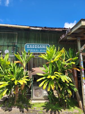 Hasegawa General Store by null