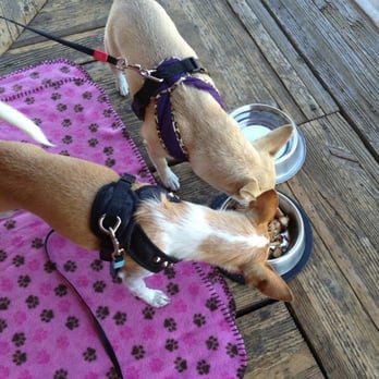 Hunter Ranch - Pooch Menu: Chicken - American Near Me - Paso Robles, California