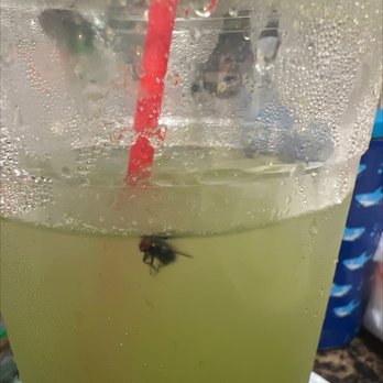 Tacos El Jefe - Drank a quarter one my drink and noticed a little friend swimming inside. Absolutely gross.. - Tacos Near Me - stanton, California