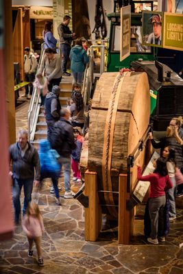 World Forestry Center by null